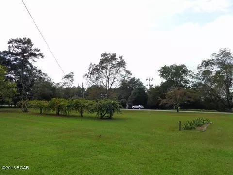 25283 N Main St, Altha, FL 32421 photo 100
