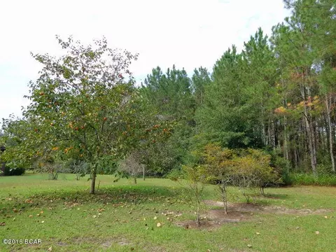 25283 N Main St, Altha, FL 32421 photo 87