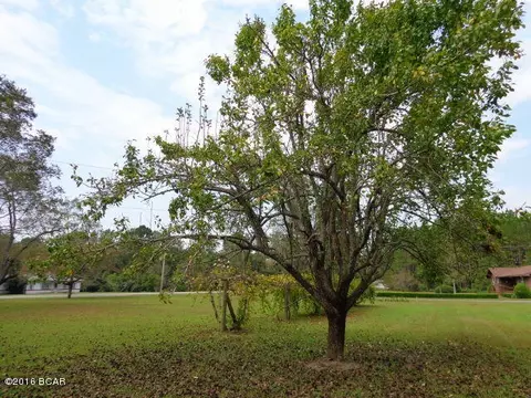 25283 N Main St, Altha, FL 32421 photo 110