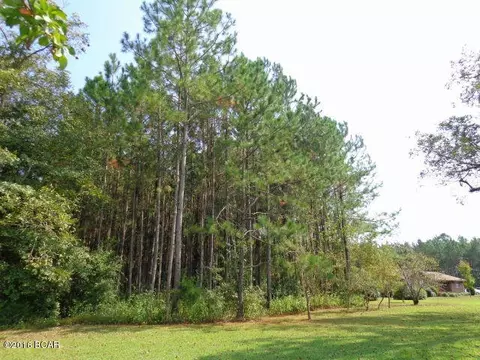 25283 N Main St, Altha, FL 32421 photo 79