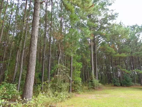 25283 N Main St, Altha, FL 32421 photo 89