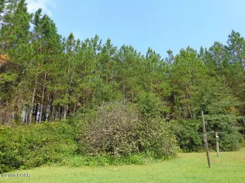 25283 N Main St, Altha, FL 32421 photo 85