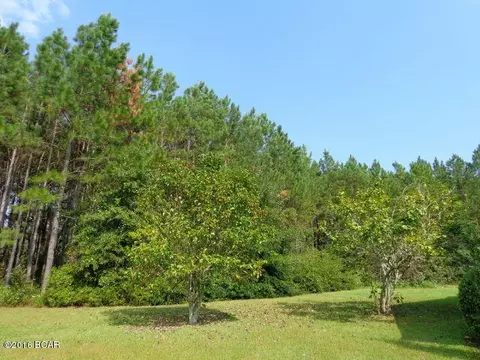 25283 N Main St, Altha, FL 32421 photo 84