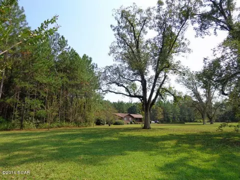 25283 N Main St, Altha, FL 32421 photo 78