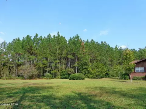 25283 N Main St, Altha, FL 32421 photo 67