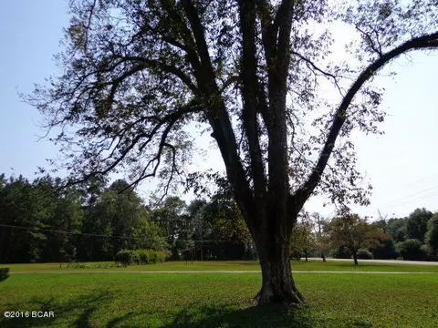 25283 N Main St, Altha, FL 32421 photo 72