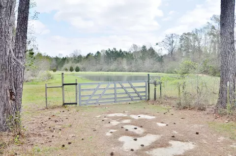 2301 Suggs Rd, Chipley, FL 32428 photo 11