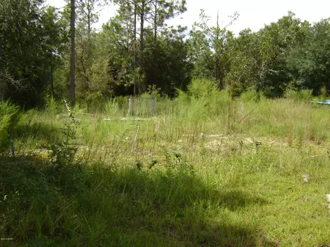 4584 Coach Ln, Chipley, FL 32428 photo 3