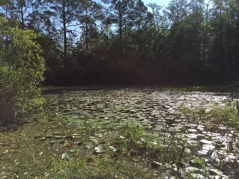 4750 Godwin Ln, Chipley, FL 32428 photo 33