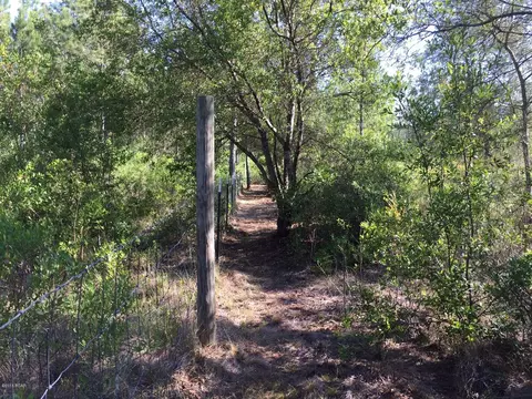 4750 Godwin Ln, Chipley, FL 32428 photo 31