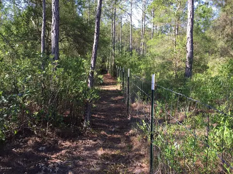 4750 Godwin Ln, Chipley, FL 32428 photo 30