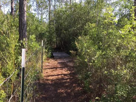 4750 Godwin Ln, Chipley, FL 32428 photo 32