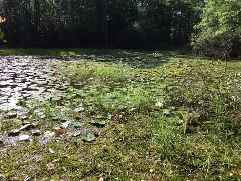 4750 Godwin Ln, Chipley, FL 32428 photo 34