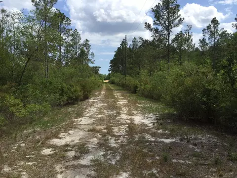 4750 Godwin Ln, Chipley, FL 32428 photo 6
