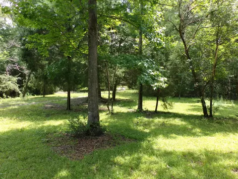 4014 River Rd, Vernon, FL 32462 photo 2