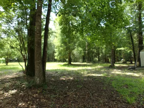 4014 River Rd, Vernon, FL 32462 photo 7
