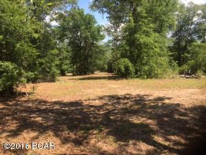 1821 Gap Blvd, Chipley, FL 32428 photo 1