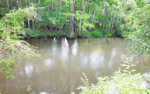 3448 Spoolmill Rd, Vernon, FL 32462 photo 23