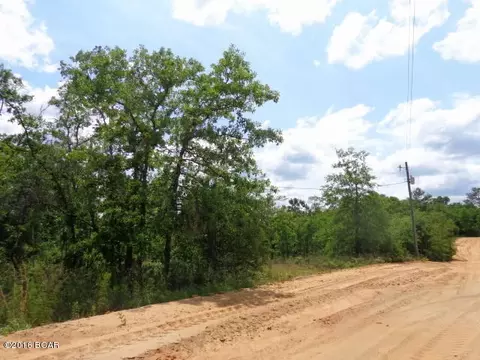 5601 NW Hillside Ter, Altha, FL 32421 photo 5