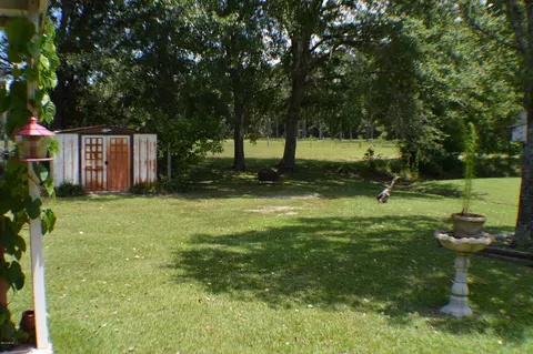 835 Maple, Chipley, FL 32428 photo 2