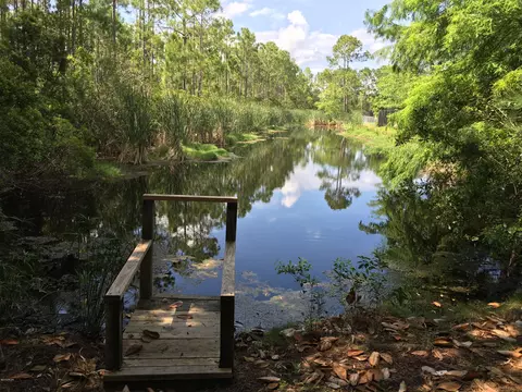 4423 Pinetree Rd, Lynn Haven, FL 32444 photo 29