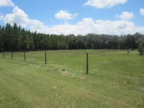 5813 Highway 71, Malone, FL 32445 photo 31