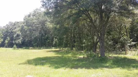 5813 Highway 71, Malone, FL 32445 photo 37
