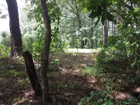 1060 Jo Kel, Sneads, FL 32460 photo 7