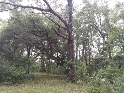 1060 Jo Kel, Sneads, FL 32460 photo 10