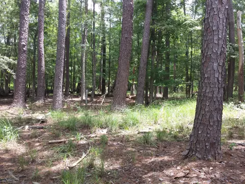 1060 Jo Kel, Sneads, FL 32460 photo 8