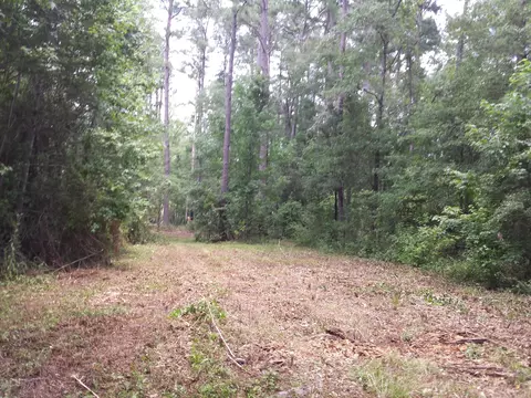 1060 Jo Kel, Sneads, FL 32460 photo 9