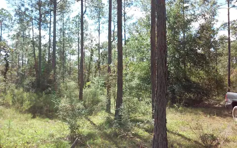 3027 Seminole Rd, Chipley, FL 32428 photo 7