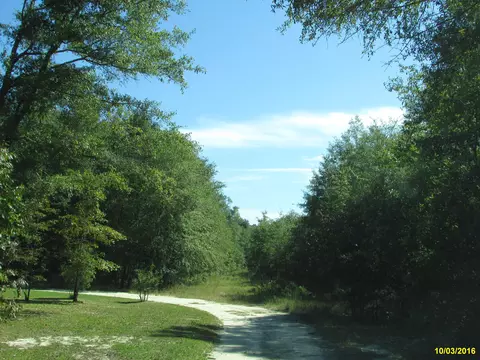 5934 Nichols Rd, Bascom, FL 32423 photo 14