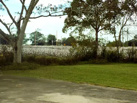 6001 Arthur Brown Rd, Mcdavid, FL 32568 photo 15