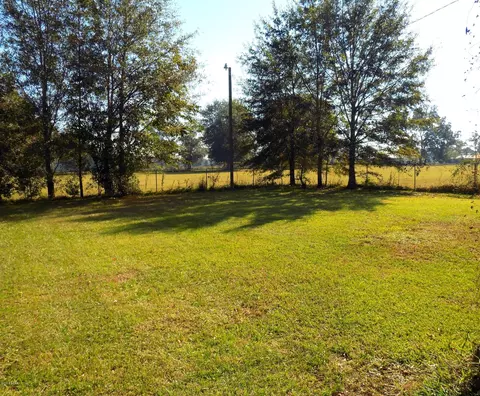6001 Arthur Brown Rd, Mcdavid, FL 32568 photo 13