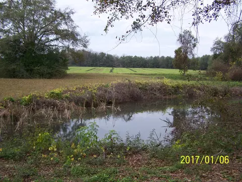 25270 N Main St, Altha, FL 32421 photo 7