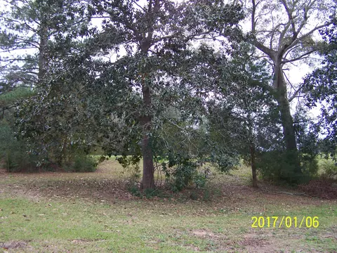 25270 N Main St, Altha, FL 32421 photo 8
