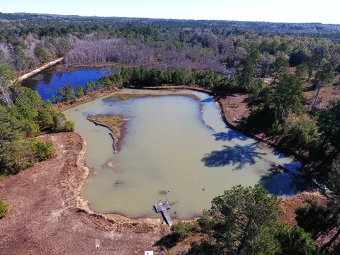 3955 Highway 77, Chipley, FL 32428 photo 5