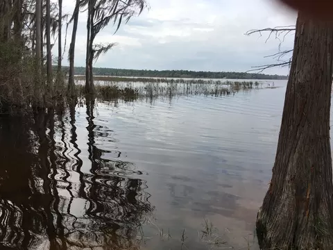3365 Lakeshore Dr, Chipley, FL 32428 photo 5