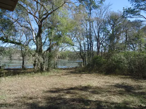 6900 Mattie Pond, Bascom, FL 32423 photo 6