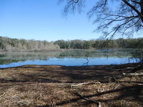 6900 Mattie Pond, Bascom, FL 32423 photo 7