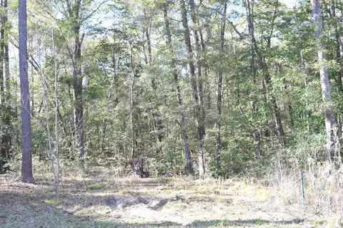 2374 Suggs Rd, Chipley, FL 32428 photo 12