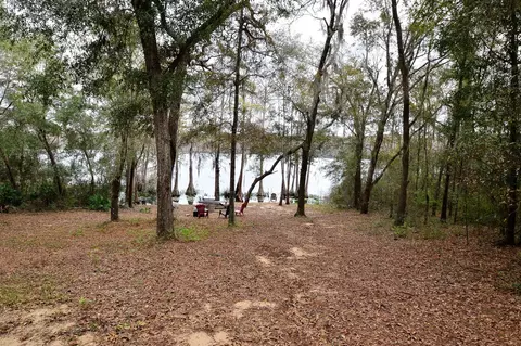 4599 Moss Hill Rd, Chipley, FL 32428 photo 8