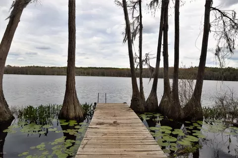 4599 Moss Hill Rd, Chipley, FL 32428 photo 9
