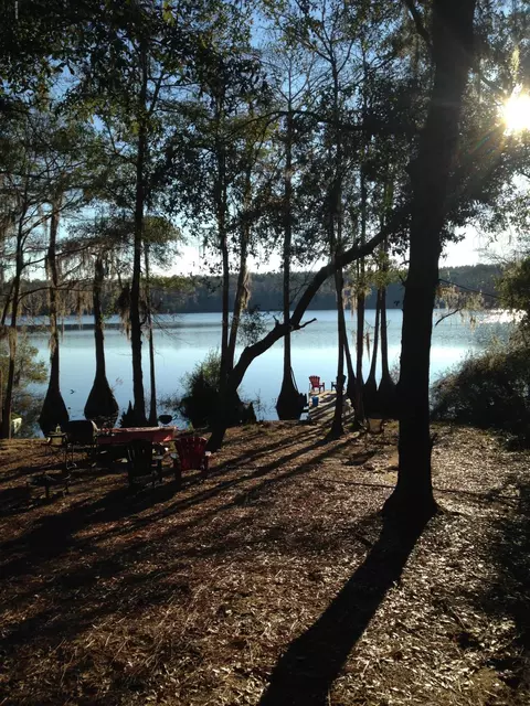 4599 Moss Hill Rd, Chipley, FL 32428 photo 13