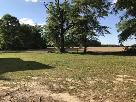 15225 NW Williams Rd, Altha, FL 32421 photo 3