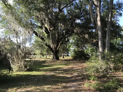 15225 NW Williams Rd, Altha, FL 32421 photo 12