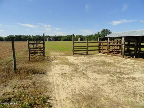 17309 Mt Olive Cem Rd, Altha, FL 32421 photo 25