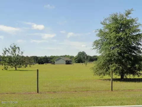 17309 Mt Olive Cem Rd, Altha, FL 32421 photo 6