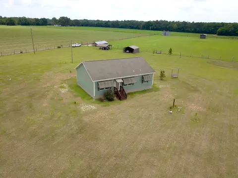 17309 Mt Olive Cem Rd, Altha, FL 32421 photo 3